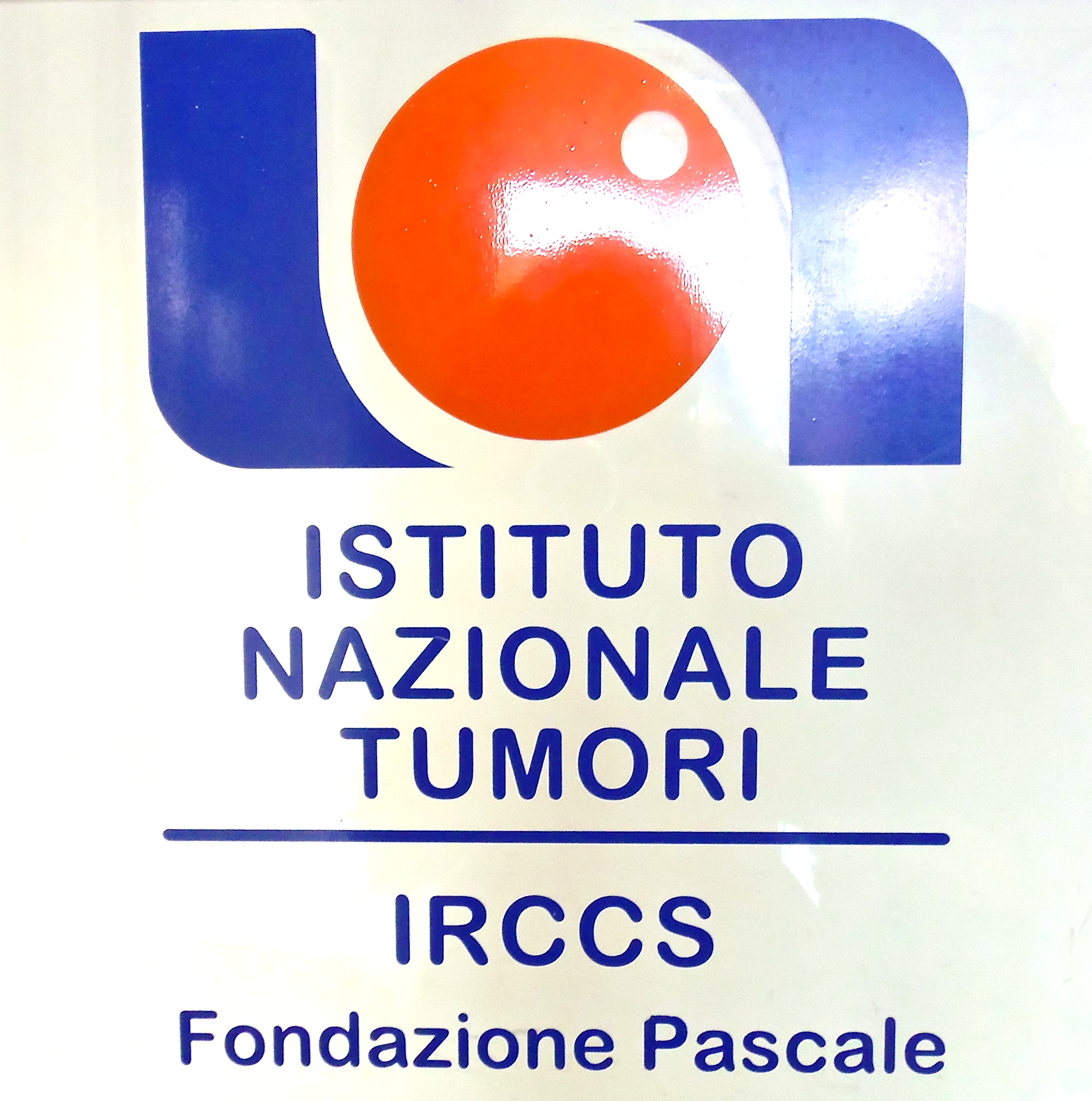 pascale foundation2.jpg
